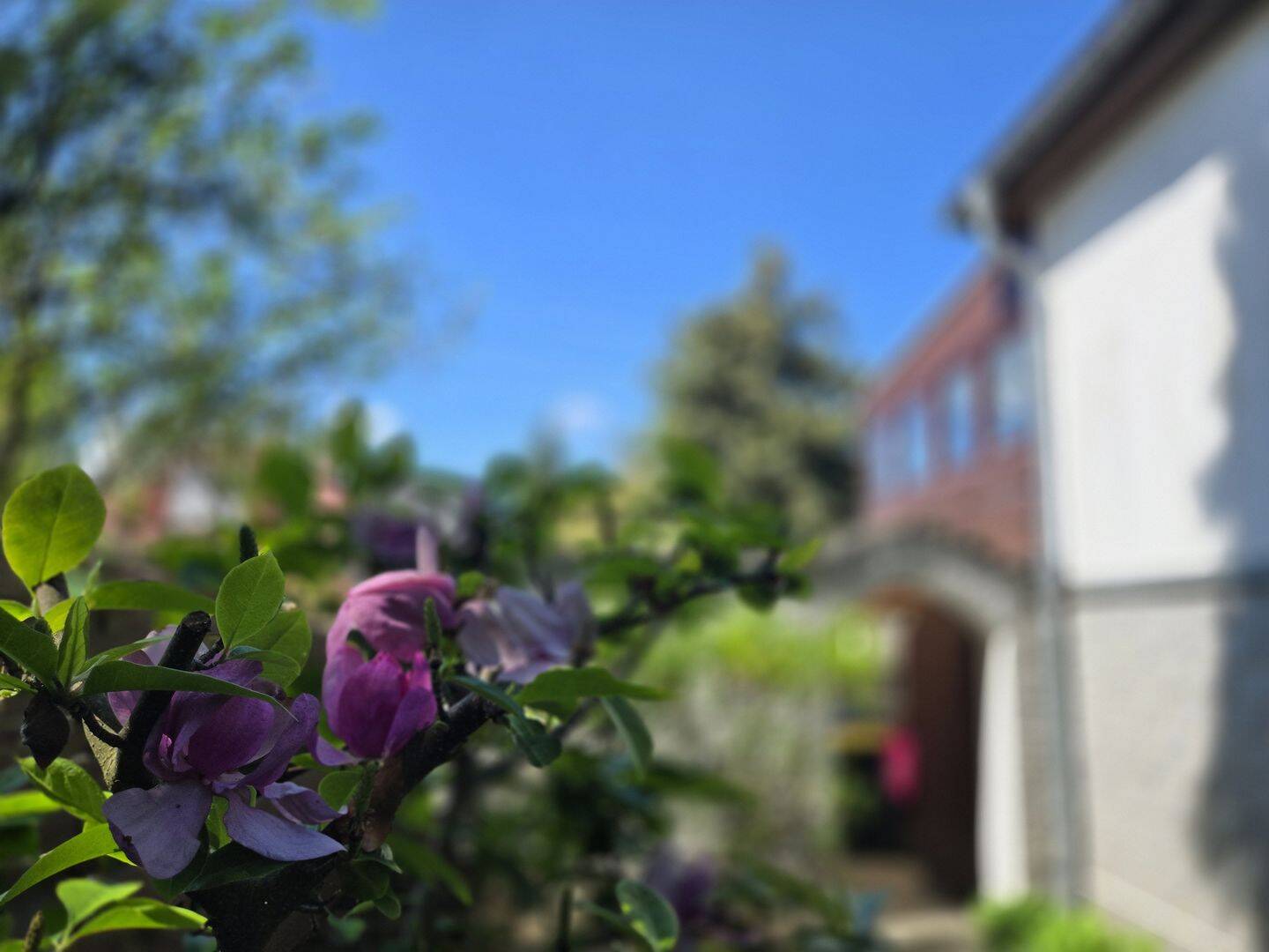 Einfamilienhaus zum Kauf - Ansicht 4