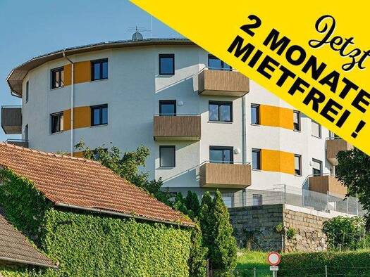 Wohnung zur Miete 471 € 54,7 m² Marktplatz 90/10 Hoheneich 3945