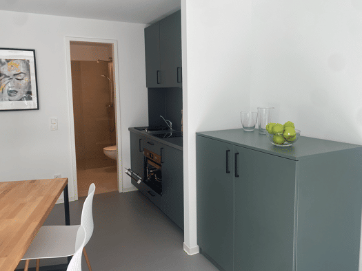 Wohnung zur Miete 675 € 1 Zimmer 29,6 m² 1. Geschoss frei ab 01.10.2026 Abraham 12 Innenstadt Oldenburg 26122