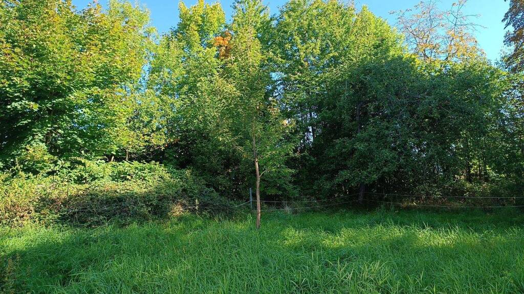 Grundstück zum Kauf provisionsfrei 669.000 € 3.320 m² Grundstück Breitenberg 94139