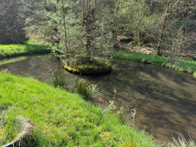 Land-/Forstwirtschaft zum Kauf 35.000 € 1.700 m² Grundstück Elmstein Elmstein 67471