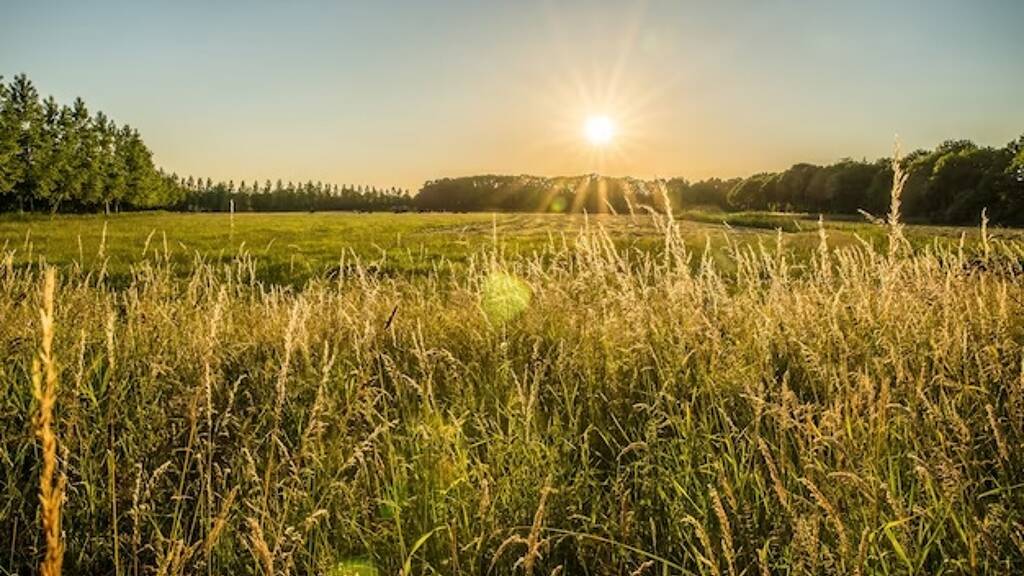 Grundstück zum Kauf 380.000 € 472 m² Grundstück Schlatt Bad Krozingen 79189