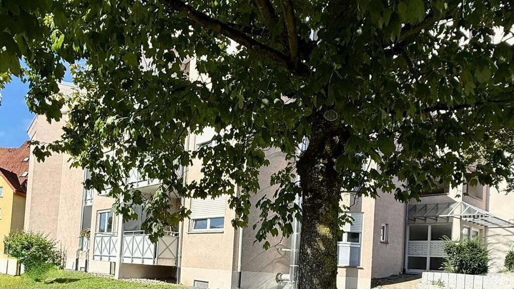 Wohnung zum Kauf 123.000 € 39 m² Geschoss 1/4 Rielasingen Rielasingen-Worblingen 78239