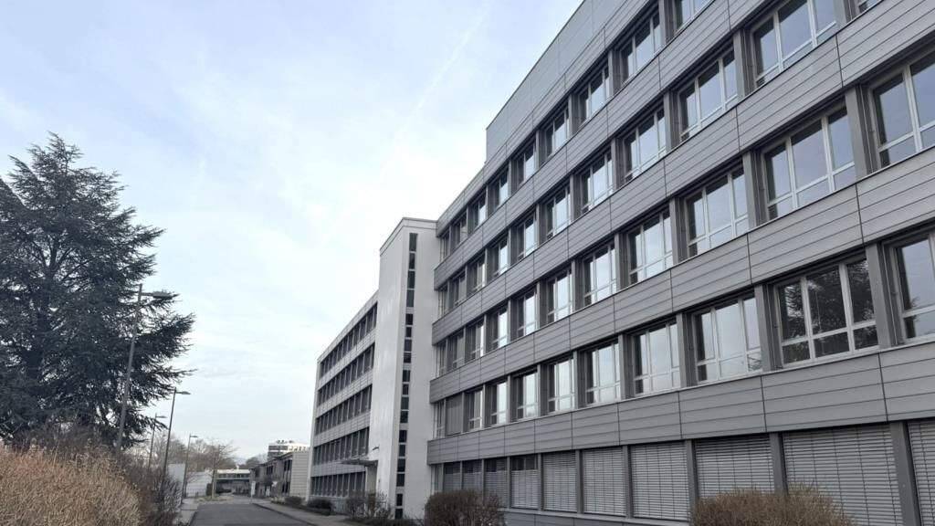 Bürofläche zur Miete 8 € 1.000 m² Bürofläche teilbar ab 25 m² Wallstadter Str. 59 Ladenburg 68526