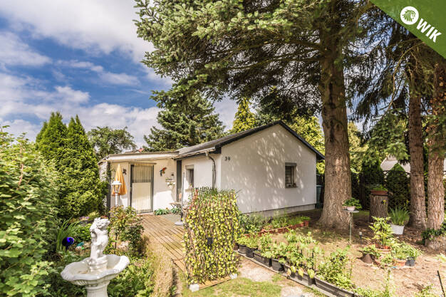 Bungalow zum Kauf 50.000 € 2 Zimmer 41,6 m² 485 m² Grundstück frei ab sofort Neuhof 39 Kohren-Sahlis Frohburg 04654