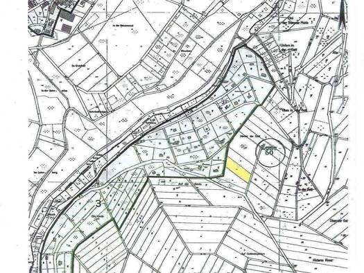 Grundstück zum Kauf 49.000 € 2.490 m² Grundstück Herl 54317