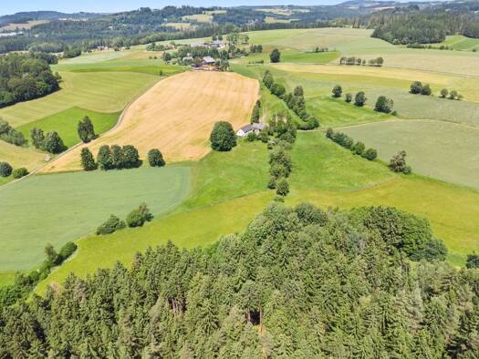 Bauernhaus zum Kauf provisionsfrei 895.000 € 7 Zimmer 218 m² 27.000 m² Grundstück Mittelrehberg Marktleugast 95352