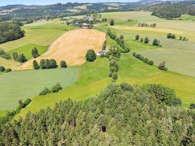 Bauernhaus zum Kauf provisionsfrei 895.000 € 7 Zimmer 218 m² 27.000 m² Grundstück Mittelrehberg Marktleugast 95352