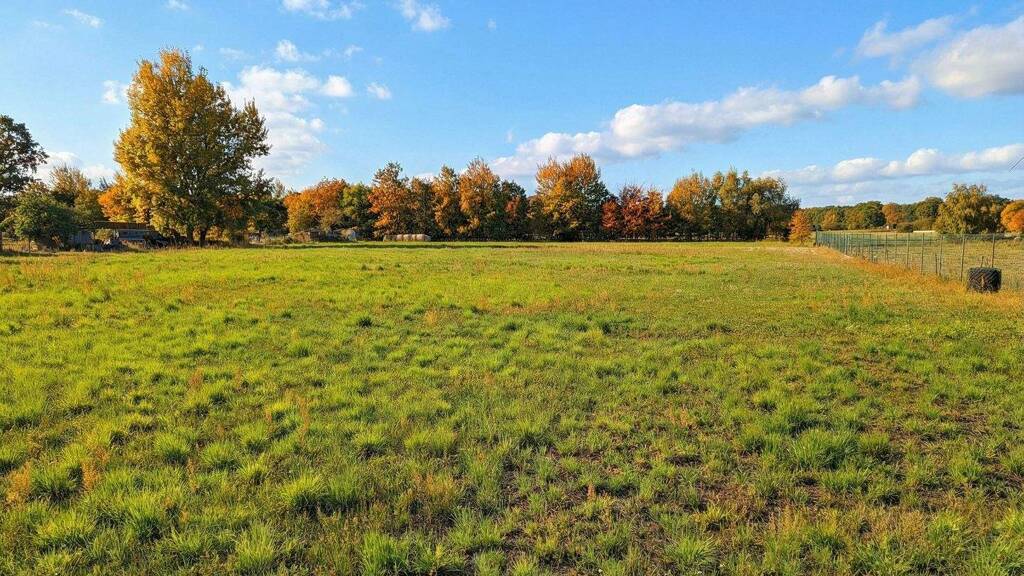 Grundstück zum Kauf 60.000 € 11.942 m² Grundstück Laasow Vetschau/Spreewald 03226