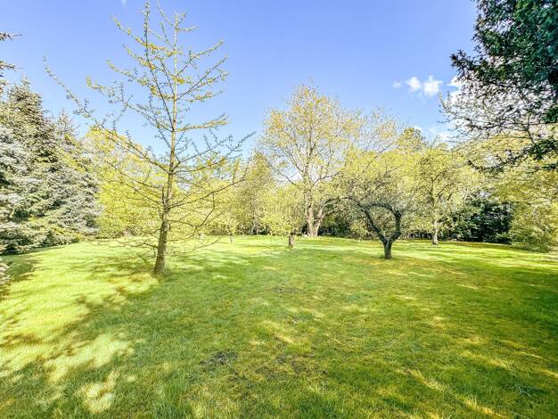 Sonstiges zum Kauf 79.000 € 1.500 m² Grundstück Wanna Wanna 21776