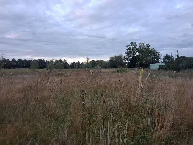 Grundstück zum Kauf provisionsfrei 175.000 € 2.886 m² Grundstück Gartenweg Hohennauen Seeblick 14715