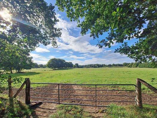 Einfamilienhaus zum Kauf 800.000 € 5 Zimmer 176 m² 3.064 m² Grundstück Sülfeld 23867