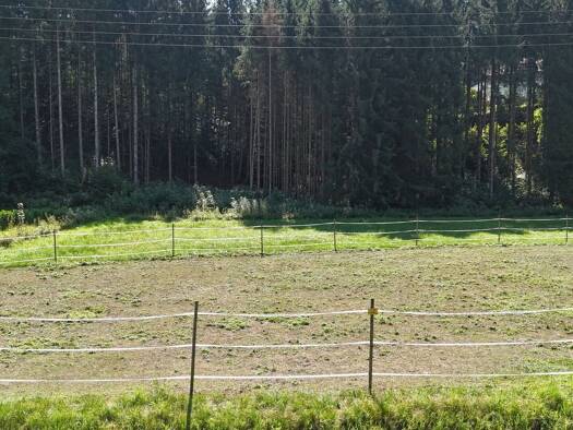 Grundstück zum Kauf 194.000 € 3.661 m² Grundstück Altmünster 4814