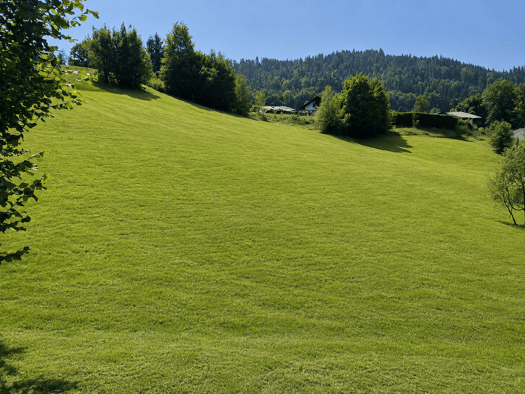 Grundstück zum Kauf 590.000 € 1.350 m² Grundstück Baugenehmigung vorhanden frei ab sofort Oberau Berchtesgaden 83471