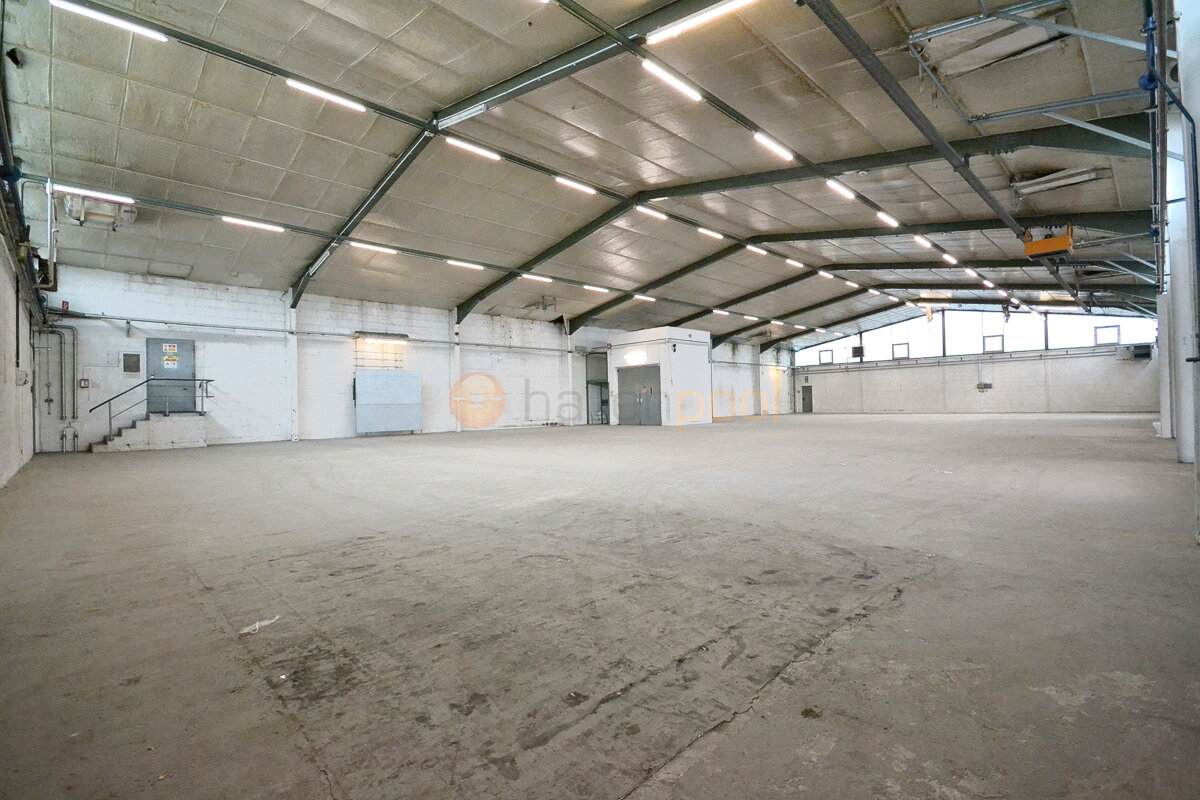 Lagerhalle zur Miete provisionsfrei 1.565 m²<br/>Lagerfläche Oestrich Oestrich-Winkel 65375