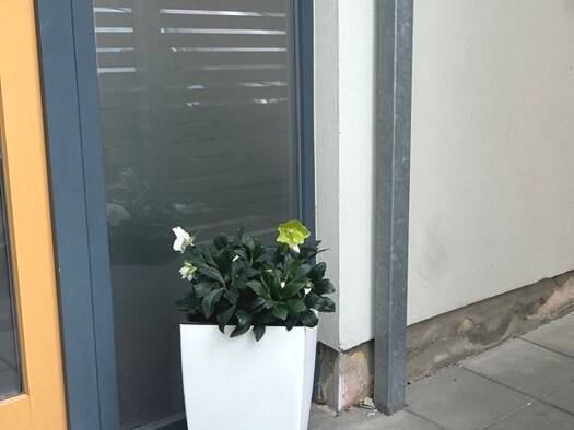 Gewerbeobjekt zum Kauf als Kapitalanlage geeignet 1.890.000 € 1 Zimmer 714 m² 838 m² Grundstück Weinböhla 01689