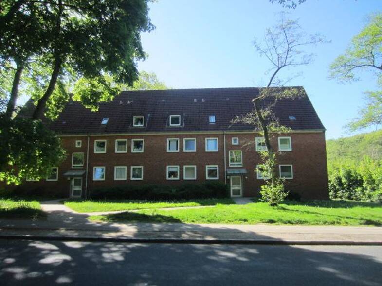 Wohnung zur Miete 450 € 2 Zimmer 46,6 m² Dachgeschoss frei ab 27.05.2025 Kollower Str. 41 Schwarzenbek 21493
