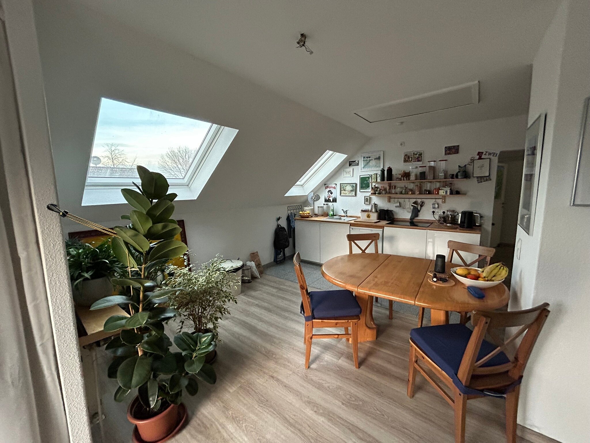 Wohnung zur Miete 710 € 2 Zimmer 65 m²<br/>Wohnfläche 1.<br/>Geschoss 01.04.2025<br/>Verfügbarkeit Pieperfeldweg Havixbeck Havixbeck 48329