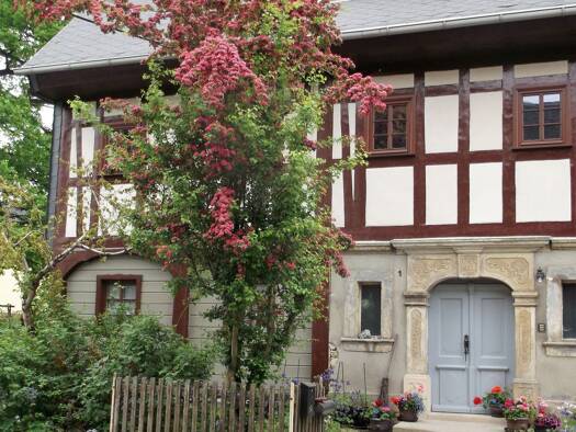 Einfamilienhaus zum Kauf provisionsfrei 185.000 € 8 Zimmer 300 m² 1.600 m² Grundstück Großschönau 02779