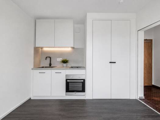 Wohnung zum Kauf 149.000 € 1 Zimmer 30,1 m² 4. Geschoss Mitte Berlin 10179
