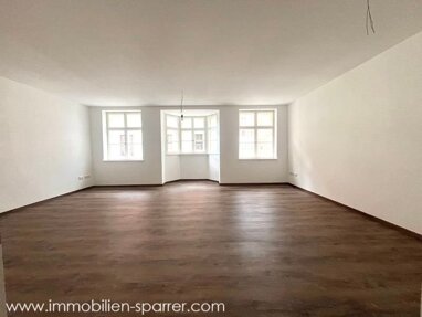 Wohnung zur Miete 1.290 € 2 Zimmer 109 m² frei ab sofort Altstadt Weiden in der Oberpfalz 92637