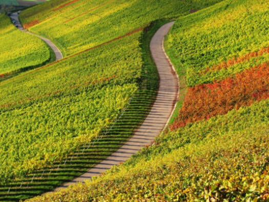 Weingut zur Miete Wieslensdorf Obersulm / Eschenau 74182
