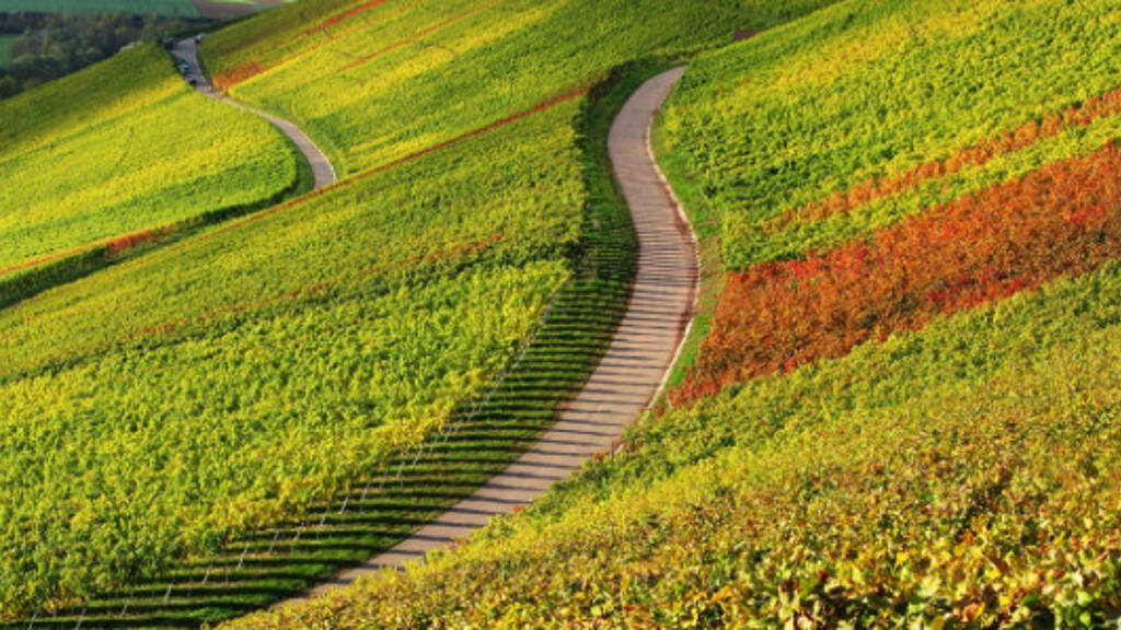 Weingut zur Miete Eschenau Obersulm / Eschenau 74182