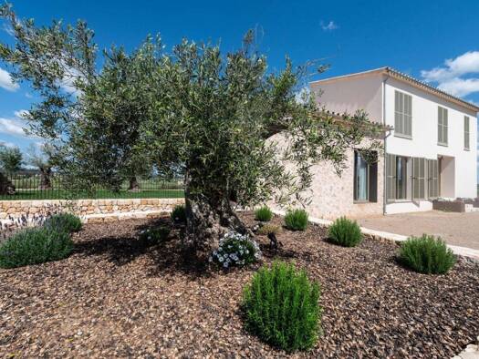 Bauernhaus zum Kauf 2.400.000 € 4 Zimmer 370 m² 17.000 m² Grundstück Sineu 07510