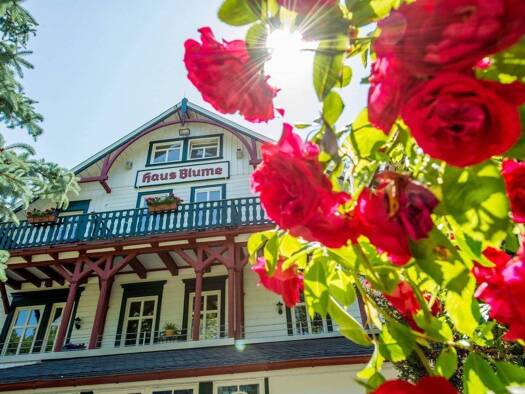 Wohnung zur Miete 750 € 2 Zimmer 78,5 m² 1. Geschoss frei ab 01.10.2026 Salzbergstraße 45 Wernigerode 38855