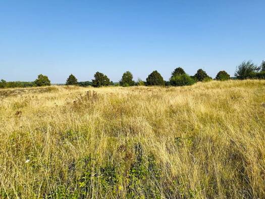 Grundstück zum Kauf 98.000 € 1.005 m² Grundstück Brüel 19412