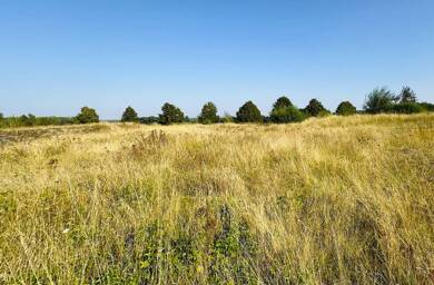 Grundstück zum Kauf 98.000 € 1.005 m² Grundstück Brüel Brüel 19412