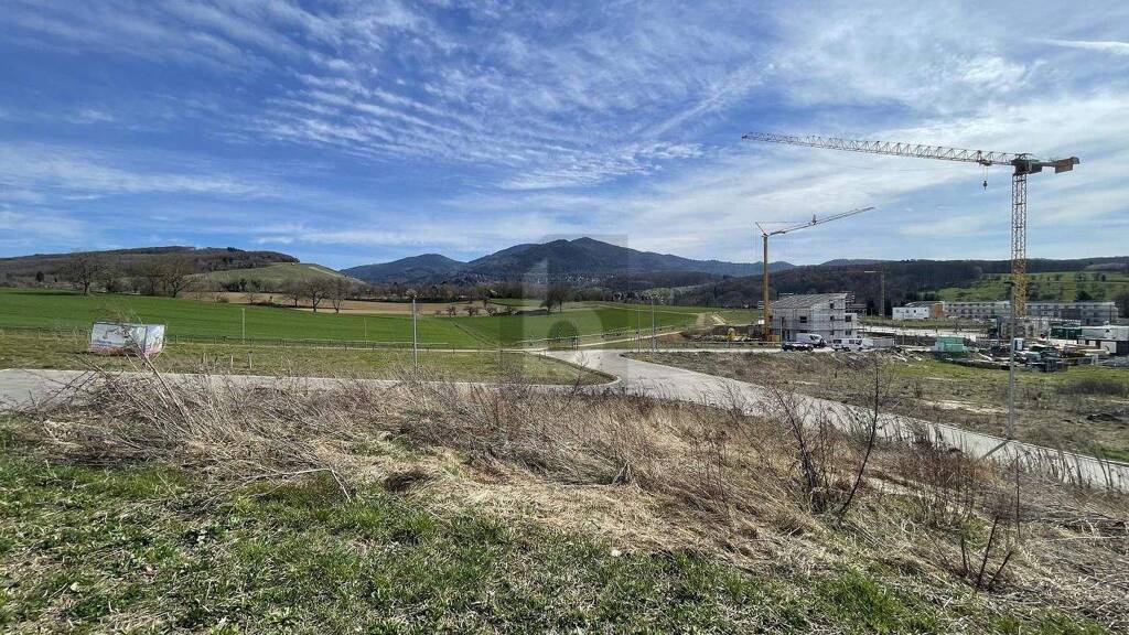 Grundstück zum Kauf 389.000 € 533 m² Grundstück Müllheim 79379