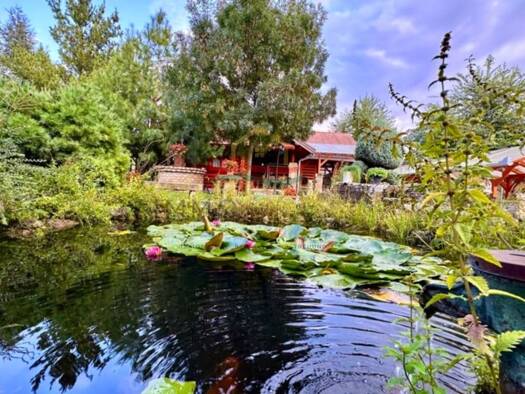 Bungalow zum Kauf 425.000 € 3 Zimmer 147 m² 3.000 m² Grundstück Kecskemét 6000