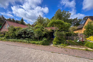 Einfamilienhaus zum Kauf 150.000 € 3 Zimmer 96 m² 711 m² Grundstück Düshorn Walsrode 29664