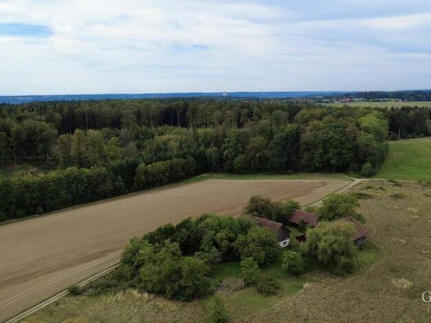 Bauernhaus zum Kauf 669.000 € 6 Zimmer 120 m² 10.361 m² Grundstück Vogelsang Mengkofen 84152