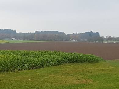 Land-/Forstwirtschaft zum Kauf 13.629 m² Grundstück Hegnenbach Altenmünster 86450