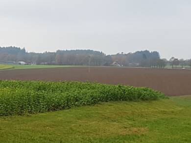 Land-/Forstwirtschaft zum Kauf 13.629 m² Grundstück Hegnenbach Altenmünster 86450