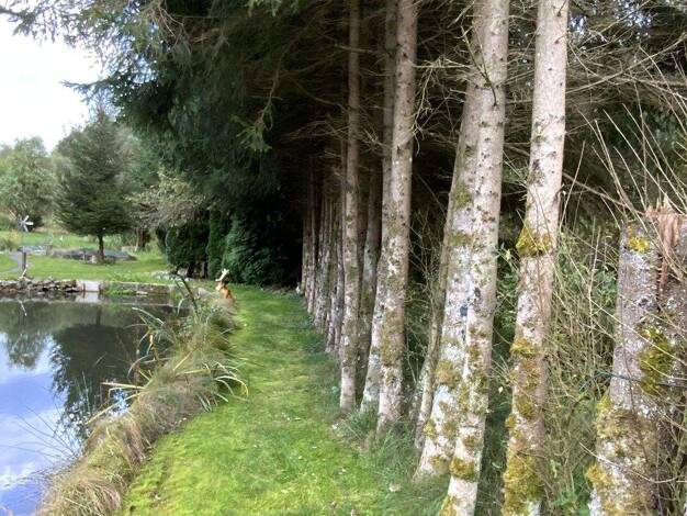 Laden zum Kauf als Kapitalanlage geeignet 599.000 € 13.650 m² Viechtach 94234