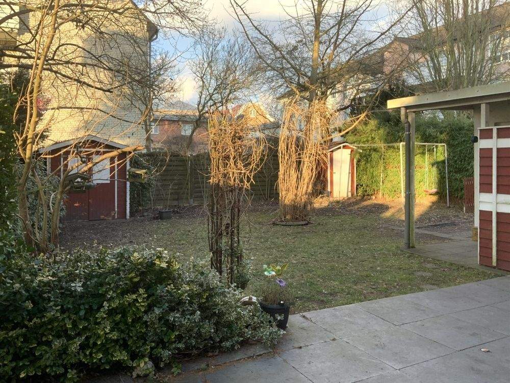 Immobilie in Anklam - Modernes und individuelles Stadthaus in Anklam - Bild 1