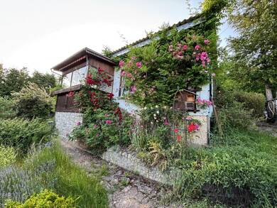 Haus zum Kauf 39.000 € 2 Zimmer 40 m² 1.100 m² Grundstück Frankenroda 99826