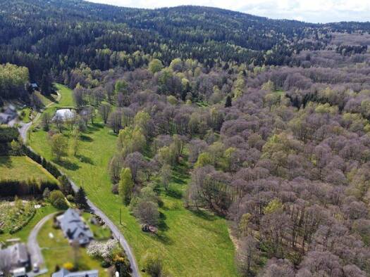 Grundstück zum Kauf 600 € 2.413 m² Grundstück Bad Brambach 08648