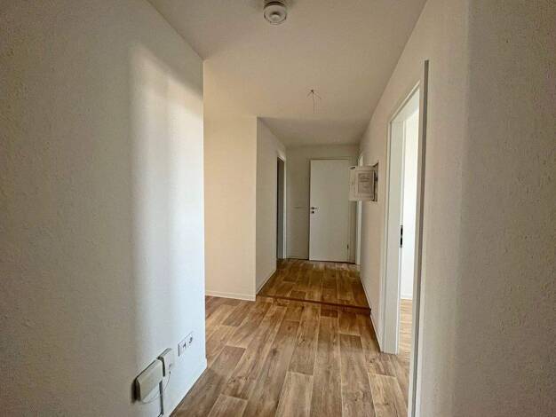 Wohnung zur Miete 320 € 2 Zimmer 57,5 m² Kaßberg Chemnitz 09116