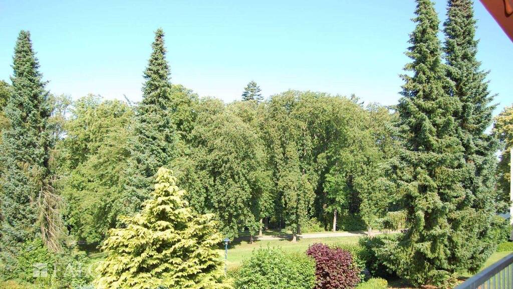 Wohnung zum Kauf 189.000 € 3 Zimmer 88,9 m² 1. Geschoss Reinhardshausen Bad Wildungen 34537