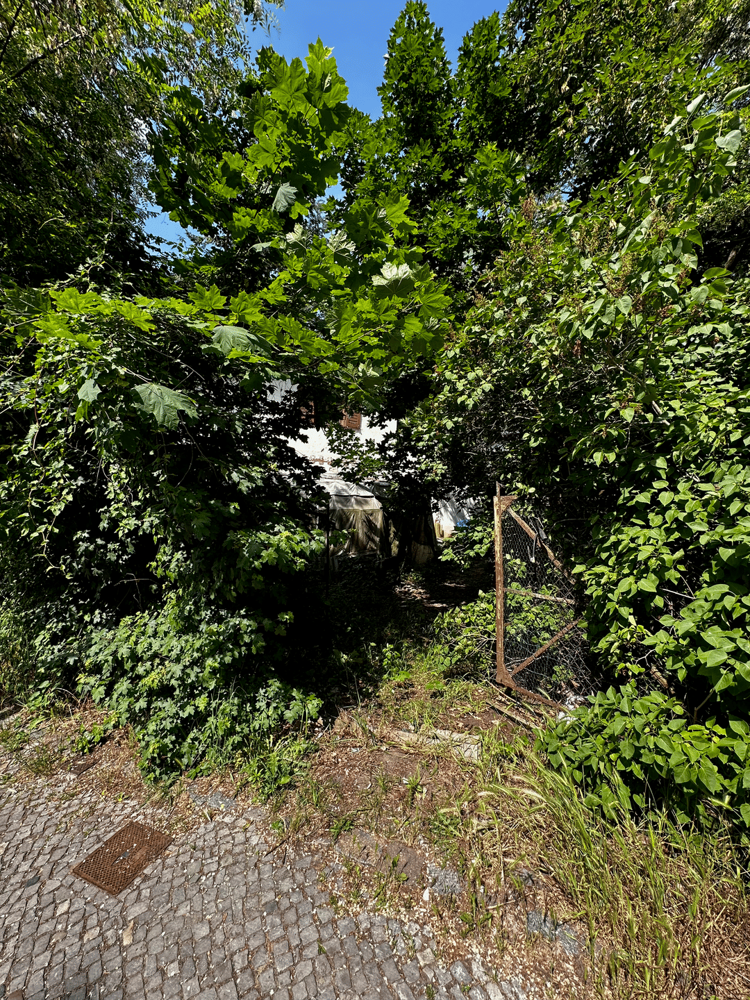 Haus zum Kauf - Ansicht 6