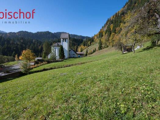 Grundstück zum Kauf 930 m² Grundstück Dornbirn / Ebnit 6850