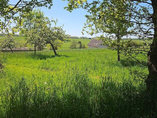 Grundstück zum Kauf provisionsfrei 39.500 € 726 m² Grundstück Hauptstraße 26 Busenhausen Busenhausen 57612