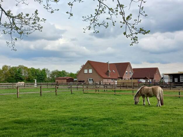 Mehrfamilienhaus zum Kauf provisionsfrei 795.000 € 10 Zimmer 300 m² 5.942 m² Grundstück frei ab 01.05.2027 Oeveringer Querstraße 19 Emlichheim Emlichheim 49824