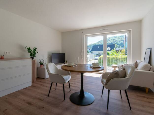 Wohnung zum Kauf provisionsfrei 239.500 € 2,5 Zimmer 51,6 m² Niedernhall 74676