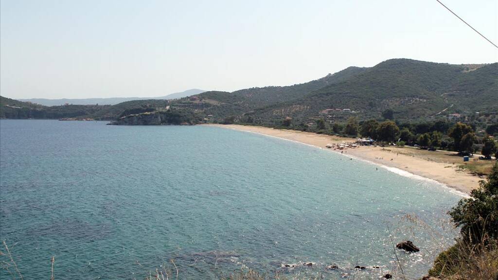 Land-/Forstwirtschaft zum Kauf 1.600.000 € 8.620 m² Grundstück Chalkidiki