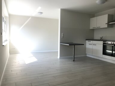 Wohnung zur Miete 550 € 1 Zimmer 35 m² UG frei ab sofort Dettingen Konstanz 78465